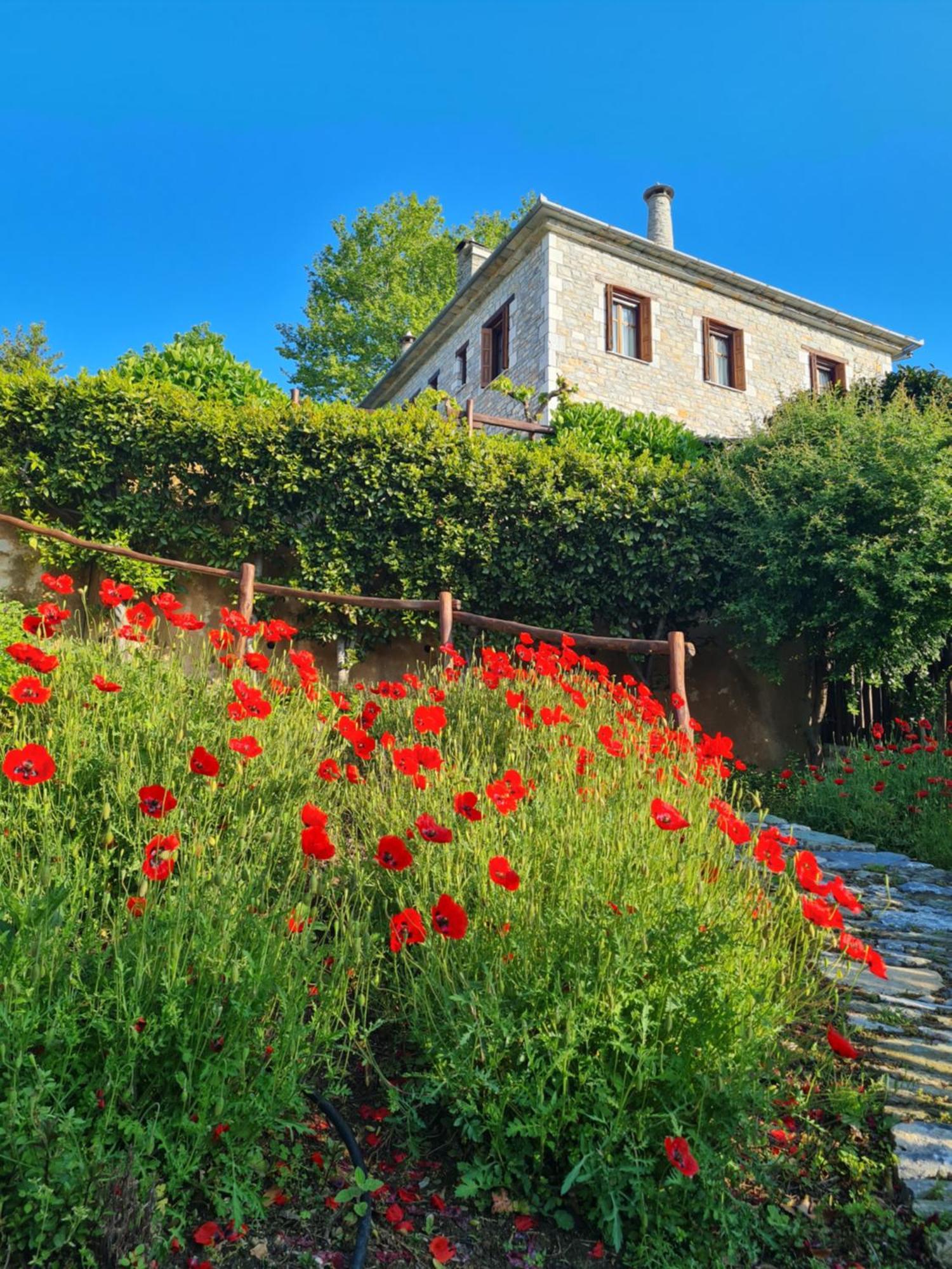 Amanita Boutique Hotel Tsagarada Bagian luar foto