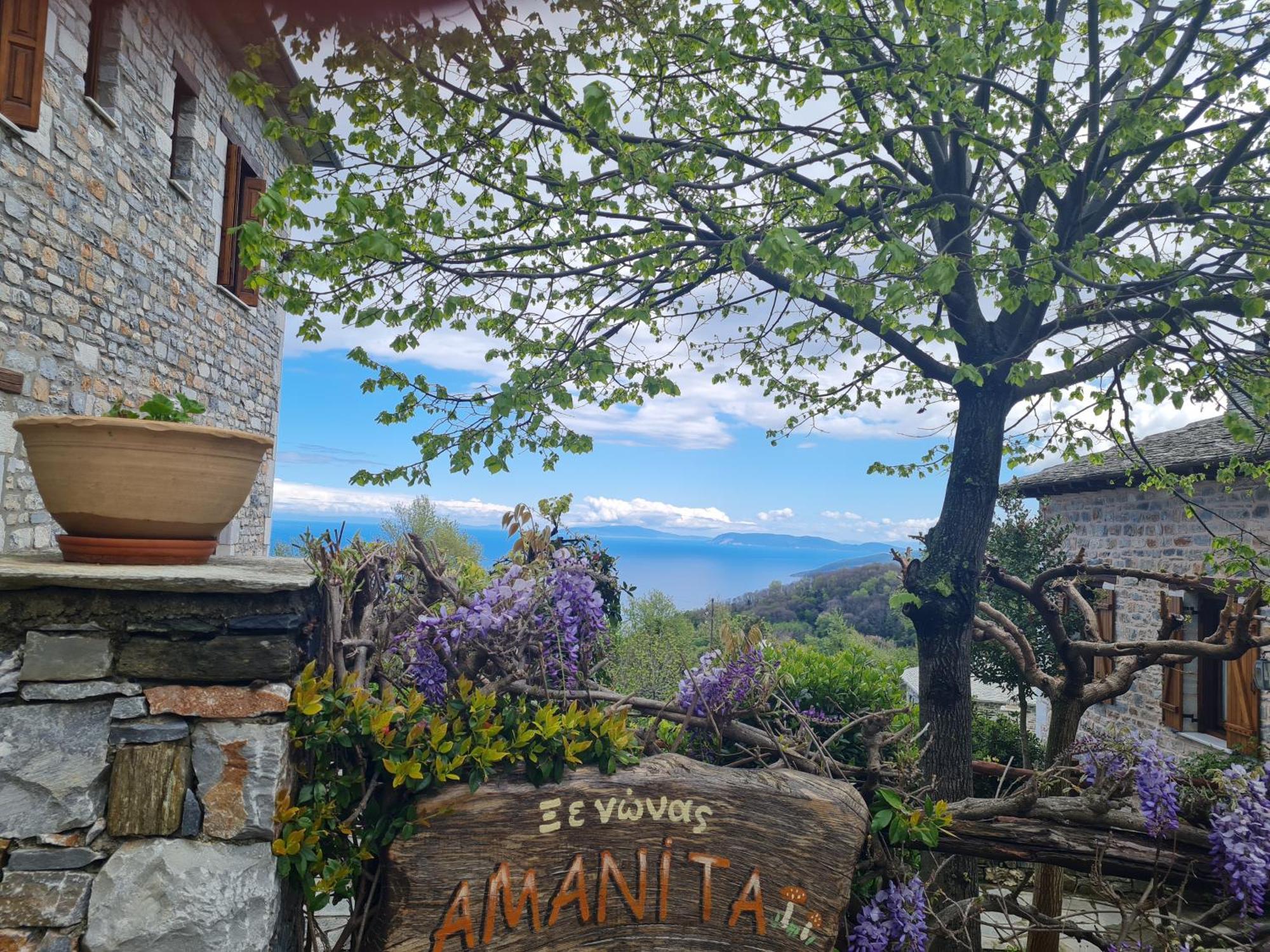 Amanita Boutique Hotel Tsagarada Bagian luar foto