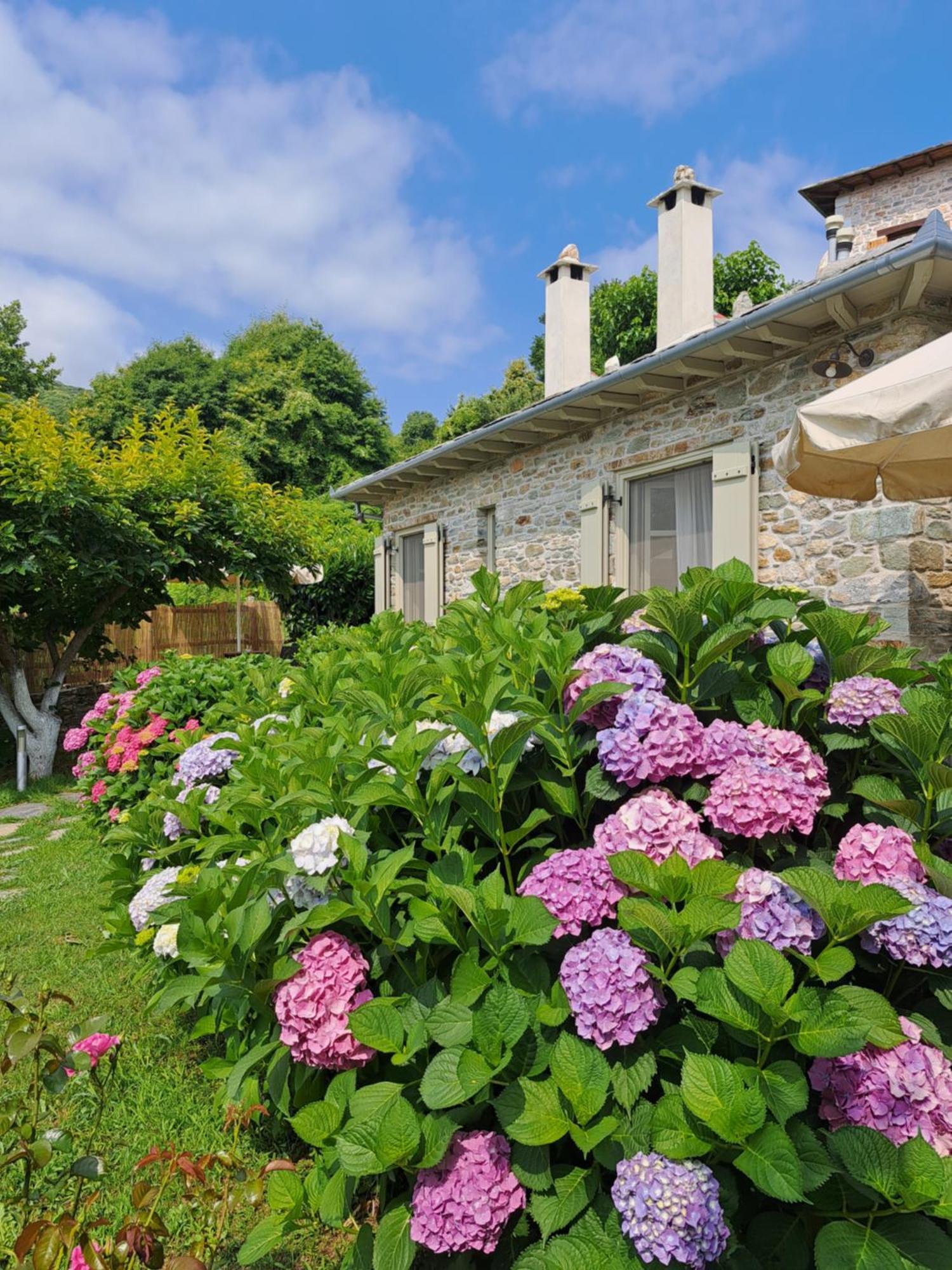 Amanita Boutique Hotel Tsagarada Bagian luar foto